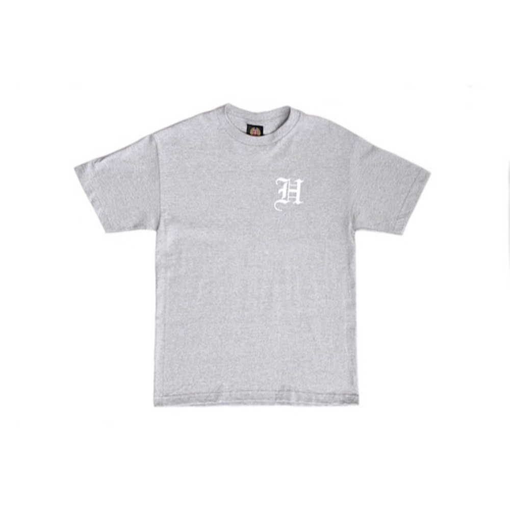 Fitted Hawaii Crown Lands Mens Gray Tee / T-Shirt